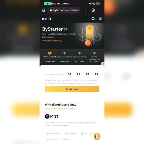 Bybit, Mantle (MNT), Risk Management
